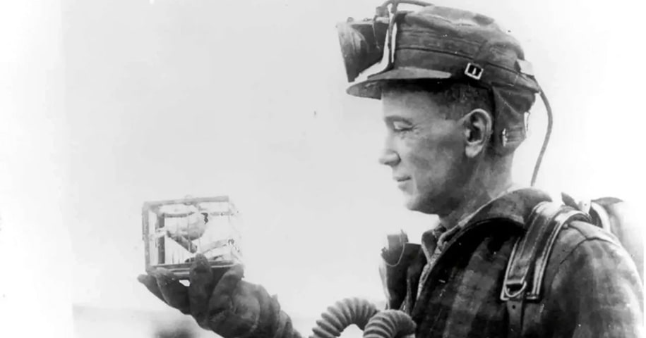 Miner with a canary in a cage